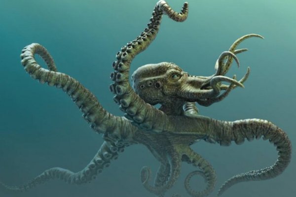 Kraken 2 зеркало